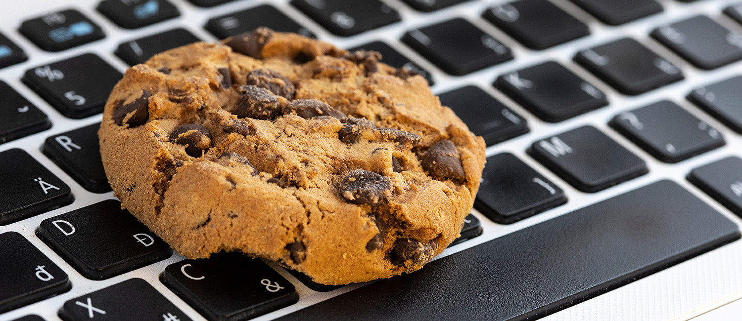 WEBSITE COOKIE POLICY FOR SANDSTON INN & SUITES